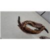 Image 2 : Vintage Mink Fur Stoles/Necklets with Whole Pelts and Decorative Chain, Set of 2
