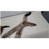 Image 5 : Vintage Mink Fur Stoles/Necklets with Whole Pelts and Decorative Chain, Set of 2
