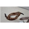 Image 6 : Vintage Mink Fur Stoles/Necklets with Whole Pelts and Decorative Chain, Set of 2