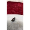 Image 12 : Set of 3 Gemstones, Oval Purplish Pink Tourmaline Gemstone, Oval Sapphire and Cushion Blue-Green