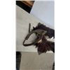 Image 4 : Pair of Vintage Wooly Buffalo Chaps with Dark Shaggy Fur, Leather Backing