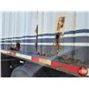 Image 31 : COMMERCIAL TRAILER : 1996 Lode King : Tri-Axle : Model HGT443