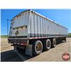 Image 7 : COMMERCIAL TRAILER : 1996 Lode King : Tri-Axle : Model HGT443