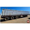 Image 8 : COMMERCIAL TRAILER : 1996 Lode King : Tri-Axle : Model HGT443
