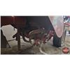 Image 6 : Rototiller TROY BILT : Model Horse (Walk Behind) (Note: Not Running / Turns Over)