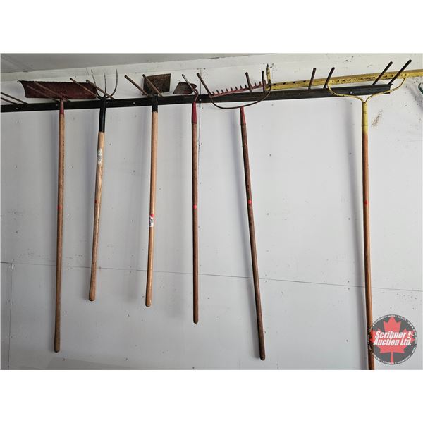 Long Handle Garden Tools (6) (Variety)