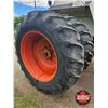 Image 29 : TRACTOR : 1983 CASE 2290 : Turbo Diesel