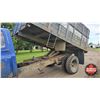 Image 38 : GRAIN TRUCK : 1974 GMC C5000 : 2-Ton : 12ft Box & Hoist