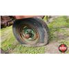 Image 11 : CULTIVATOR : 14ft Graham