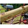 Image 10 : AUGER : Westfield 7" x 36ft Grain Auger w/10hp Engine