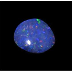 1.69ct Australian Black Opal Doublet Full Fire (GEM-22619E)