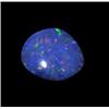 1.69ct Australian Black Opal Doublet Full Fire (GEM-22619E)