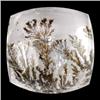 Image 1 : 24.05ct Hills Tree Appeal Natural Dentrit Picture Opal (GEM-8387)