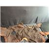 Image 8 : Mountain Lion Taxidermy Head Dress