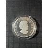 Image 4 : 2013 $10 Fine Silver Coin Canadian Summer Fun