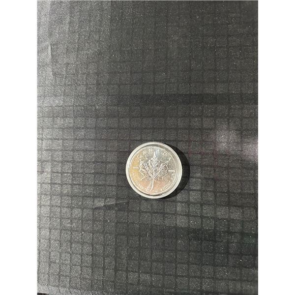 2013 Canada 1 oz Silver Maple Leaf Coin
