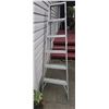 Image 1 : Metal Folding Step Ladder