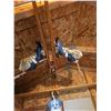 Image 5 : Fishing Rods, Skis, and Boots