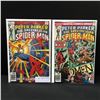 Image 1 : LOT OF 2 PETER PARKER THE SPECTACULAR SPIDERMAN COMICS #2-3 - MARVEL COMICS