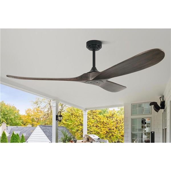 Ceiling Fan