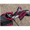 Image 6 : Golf Caddies With Stands and Themed Items