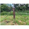 Image 1 : Cattle scratcher