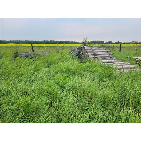 Qty of 3-5 inch x approx. 6 ft. sharpened posts, Buyer is Responsible to load