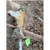 Image 2 : Old hand pump