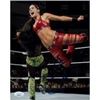 Image 1 : WWE Diva Brie Bella Signed Photo