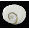 Image 1 : 18.37ct Rare Gomti Chakra Shell (GEM-20789)