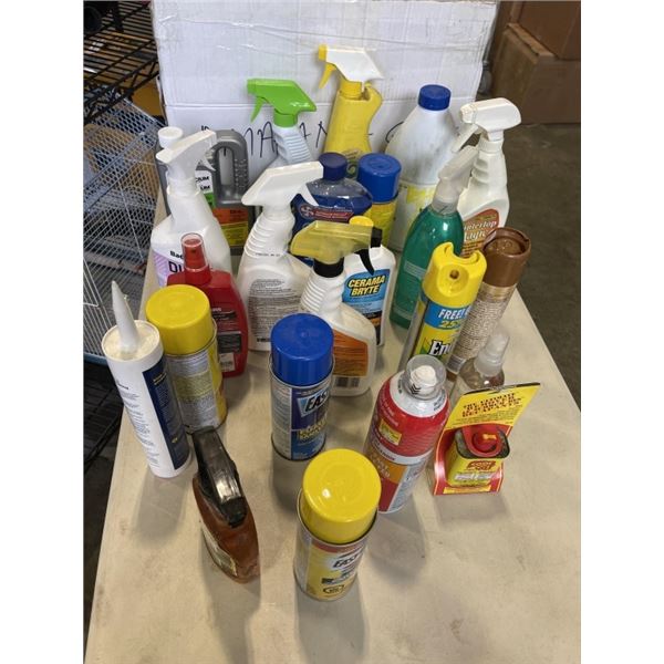 ASSORTED CLEANING SUPPLIES