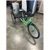 Image 2 : PACER II TRIKE
