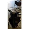Image 5 : GOLF BAG W/ CLUBS - 9 IRONS, 3 CLUBS