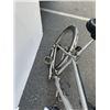 Image 5 : SILVER NO BRAND BIKE