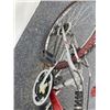 Image 5 : RED GIANT BIKE