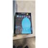 Image 2 : MOODGLO MULTI COLOR LED MOOD LAMP AND UMIBOO FLAT PILLOW 2.6 INCH PILLOW