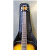Image 3 : GWL ACOUSTIC GUITAR IN SOFT CASE