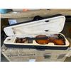 Image 1 : VIOLIN IN SOFT CECIIIO CASE