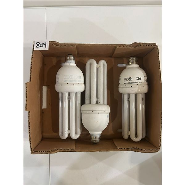 Ballast Light Bulbs (3)