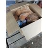 Image 1 : stuffed animals