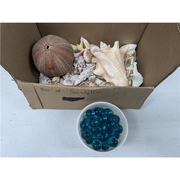 box of seashells and container of large glass marbles