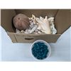 Image 1 : box of seashells and container of large glass marbles