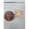 Image 4 : box of seashells and container of large glass marbles
