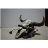Image 2 : Skull Light