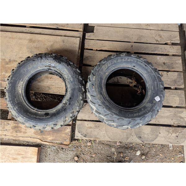 2 ATV tires, 1 front, 1 rear