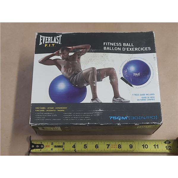 Everlast F.I.T. Fitness Ball designed for full-body workouts and core strength. (New Never Open and 