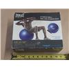 Image 1 : Everlast F.I.T. Fitness Ball designed for full-body workouts and core strength. (New Never Open and 