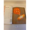 Image 2 : 30 Second Astronomy Book