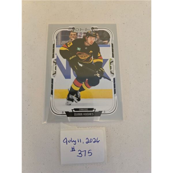Quinn Hughes Hockey Card