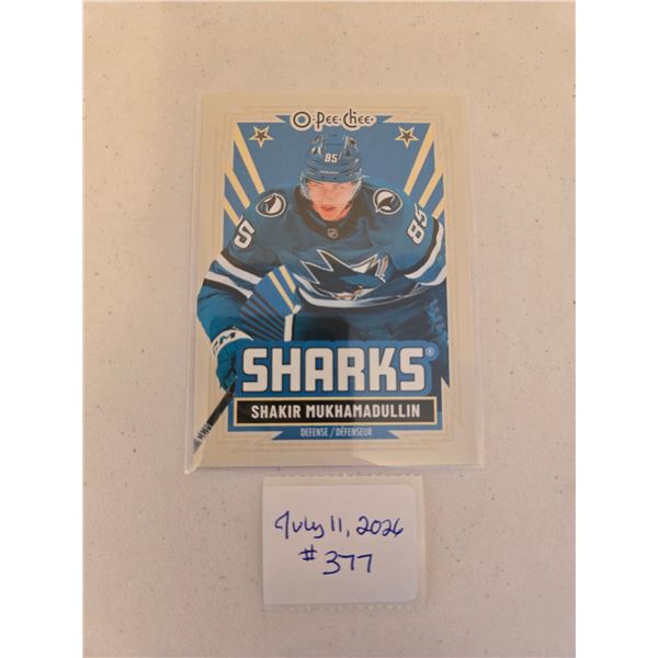 Shakir Mukhamadullin Insert Card